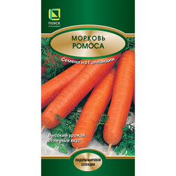 ������ ������ ������� ������   ����