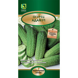 ������ ������ ������ ���� F1   ����