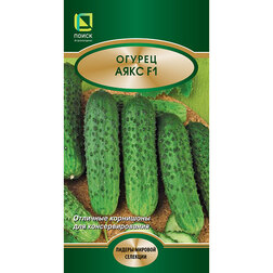 ������ ������ ������ ���� F1   ����