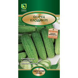 ������ ������ ������ ������ F1   ����