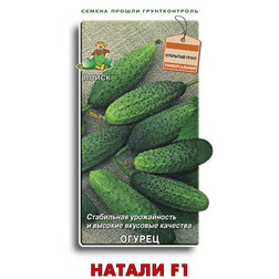 ������ ������ ������ ������ F1   ����