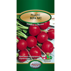 ������ ������ ����� ���� ��   ����