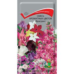 ������ ������ ����� ��������� ������ ��������   ����