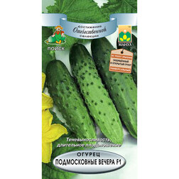 ������ ������ ������ ������������ ������ F1   ����