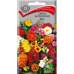 ������ ������ ����� ��������� ����   ����