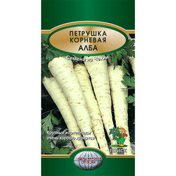 ������ ������ �������� ����   ����