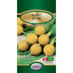 ������ ������ ����� �����   ����