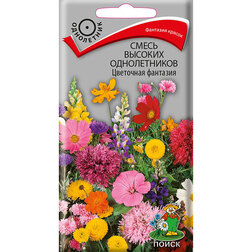 ������ ������ ����� ������� ������������ ��������� ��������   ����