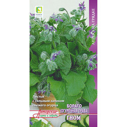 ������ ������ ������ (��������� �����) ����   ����