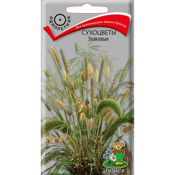 ������ ������ ��������� ��������   ����