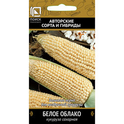 ������ ������ �������� �������� ����� ������   ����