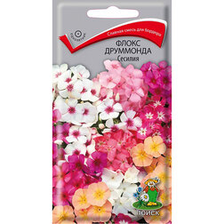 ������ ������ ����� ��������� �������   ����