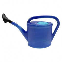 ������ ������ ����� ������������� 5�.   ����