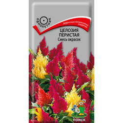 ������ ������ ������� �������� ����� �������   ����