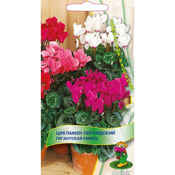 ������ ������ �������� ���������� ���������� �����   ����