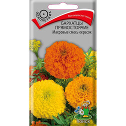 ������ ������ �������� ������������ �������� ����� �������   ����