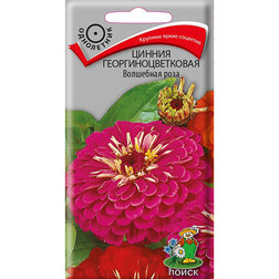 ������ ������ ������ ����������������� ��������� ����   ����