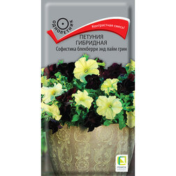 ������ ������ ������� ��������� ��������� ��������� ��� ���� ����   ����