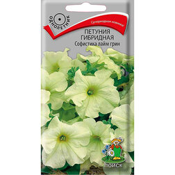 ������ ������ ������� ��������� ��������� ���� ����   ����