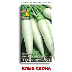 ������ ������ ������ ��������� (����) ���� �����   ����