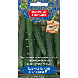 ������ ������ ������ ���������� ������� F1 (��������� ���������)   ����