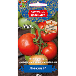 ������ ������ ����� ������ F1 (��������� ���������)   ����