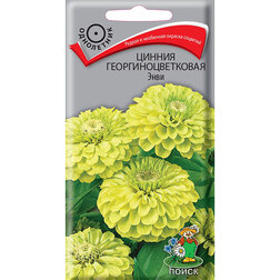 ������ ������ ������ ����������������� ����   ����