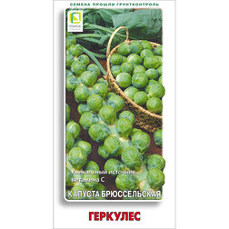 ������ ������ ������� ������������ ��������   ����