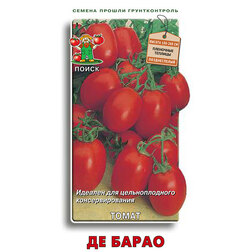 ������ ������ ����� �� �����   ����