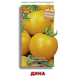 ������ ������ ����� ����   ����