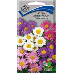 ������ ������ ����� ���������� ����� �������   ����