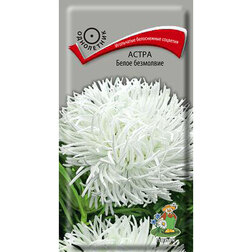 ������ ������ ����� ����� ���������   ����