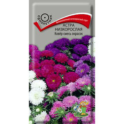 ������ ������ ����� ����������� ���� ����� �������   ����