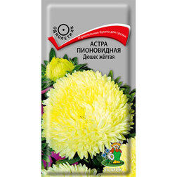 ������ ������ ����� ����������� ����� �����   ����