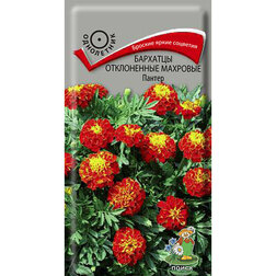 ������ ������ �������� ����������� �������� ������   ����