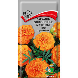 ������ ������ �������� ����������� �������� ����� ���������   ����