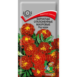 ������ ������ �������� ����������� �������� ��� �����   ����