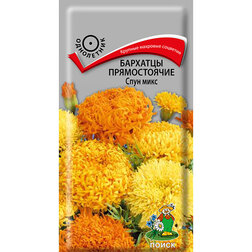 ������ ������ �������� ������������ ���� ����   ����