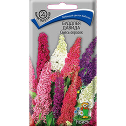 ������ ������ ������� ������ ����� �������   ����