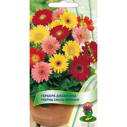 ������ ������ ������� �������� ������ ����� �������   ����