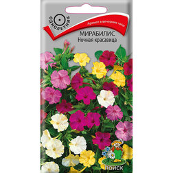 ������ ������ ��������� ������ ���������   ����