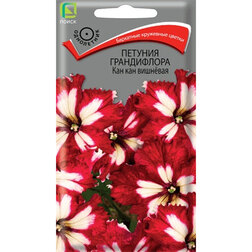 ������ ������ ������� ����������� ��� ��� ��������   ����