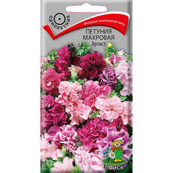 ������ ������ ������� �������� ������   ����