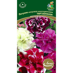 ������ ������ ������� �������� �������������� ���� �������   ����