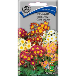 ������ ������ ������� ������� ����� �������   ����