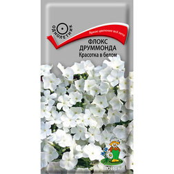 ������ ������ ����� ��������� �������� � �����   ����