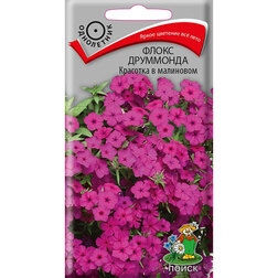 ������ ������ ����� ��������� �������� � ���������   ����