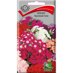 ������ ������ ����� �������� ����   ����