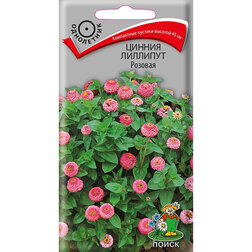 ������ ������ ������ �������� �������   ����