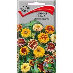 ������ ������ ������ ����� �������� ������   ����